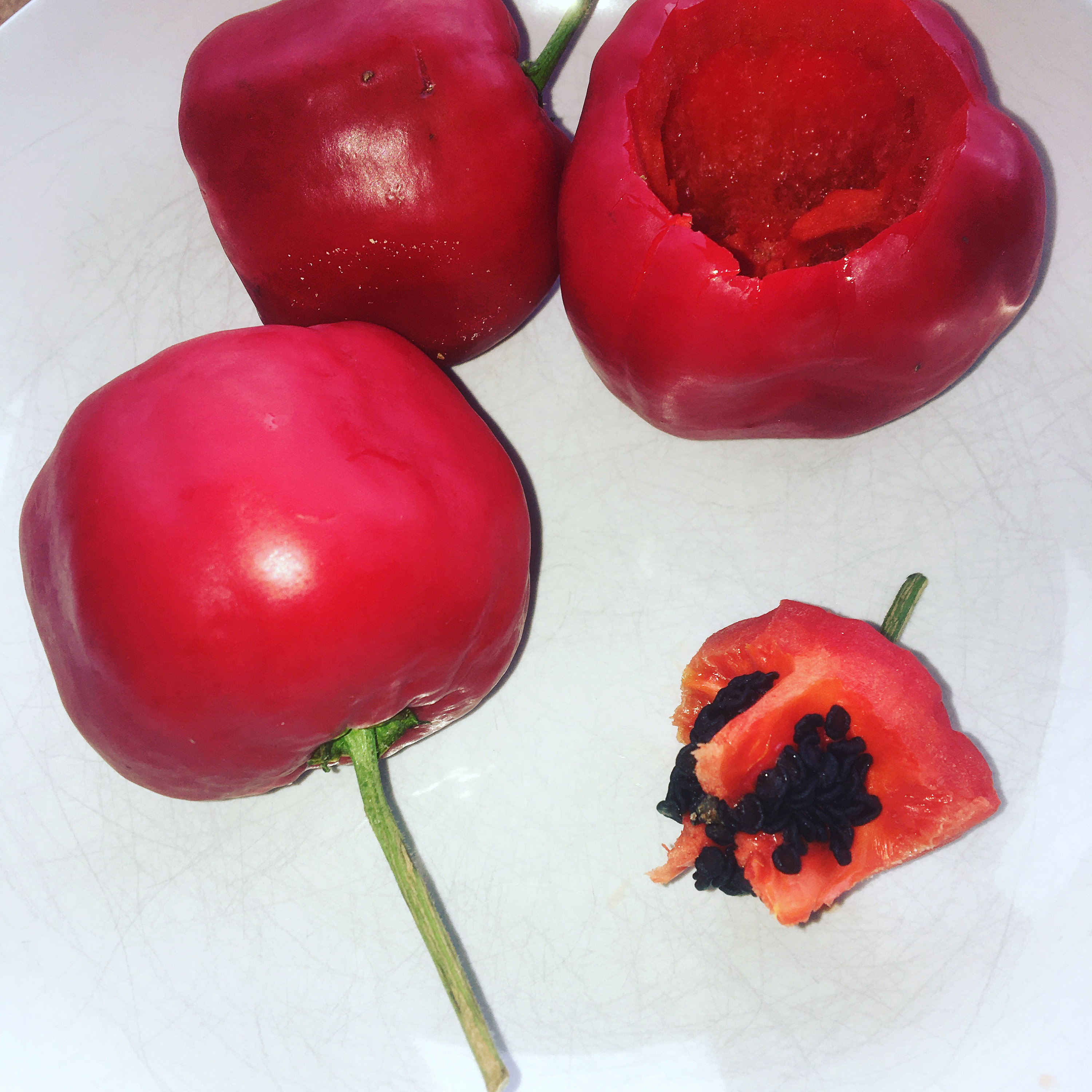 Rocoto Chile Como Se Conoce En Mexico