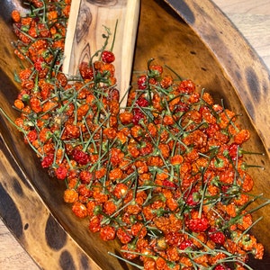 Aji Charapita red 3 grams dried wild chili from Peru most expensive chili