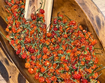 Aji Charapita red 3 grams dried wild chili from Peru most expensive chili