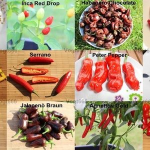 12 Varieties Chili Seeds Bhut Jolokia Peter Pepper Habanero. +Carolina Reaper Bonus Seeds