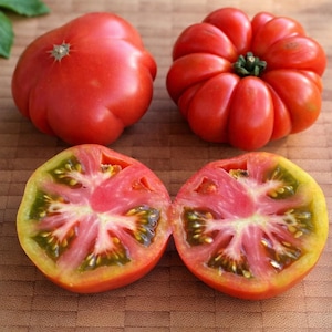 15 zaden van de Marinda-tomatensoort, een zeer aromatische variëteit uit Sicilië.