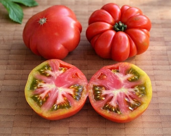 15 semi di pomodoro Marinda una varietà molto aromatica proveniente dalla Sicilia
