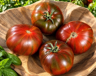 Semillas de tomate RAF "Sweet Marmande", una antigua y deliciosa variedad de tomate tipo beefsteak, dulce y con un ligero toque salado.