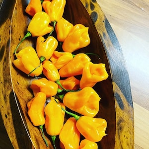 Puede incluir: Un cuenco de madera lleno de una variedad de pimientos habaneros de color naranja y amarillo brillante. Los pimientos están dispuestos en un patrón aleatorio, con algunos superpuestos.