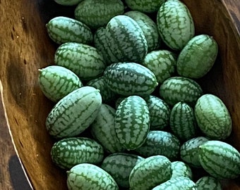 40 Semi Di Kiwano (Cetriolo Cornuto Africano) - Frutto Esotico Per Orto E Giardino
