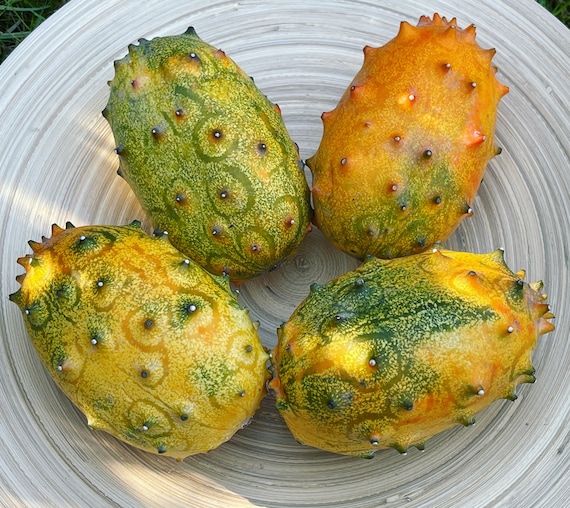 Graines De Kiwano (concombre Corné) - Lot De 10 Graines Cucumis Metuliferus, Plante Grimpante Au Goût Unique - 11
