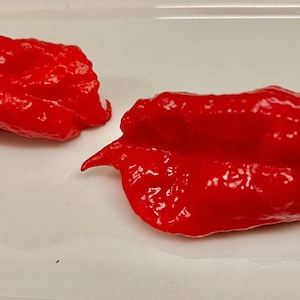 May include: Two bright red chili peppers on a white surface. The peppers are wrinkled and have a pointed shape.