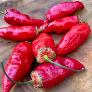 Może przedstawiać: Grupa ośmiu czerwonych papryczek chili na drewnianej powierzchni. Papryczki są różnych rozmiarów i kształtów, a niektóre mają łodygi.