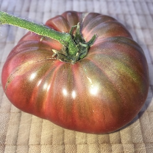 Cherokee Purple Tomato Seeds Old Indian Variety Sweet Beef Tomato