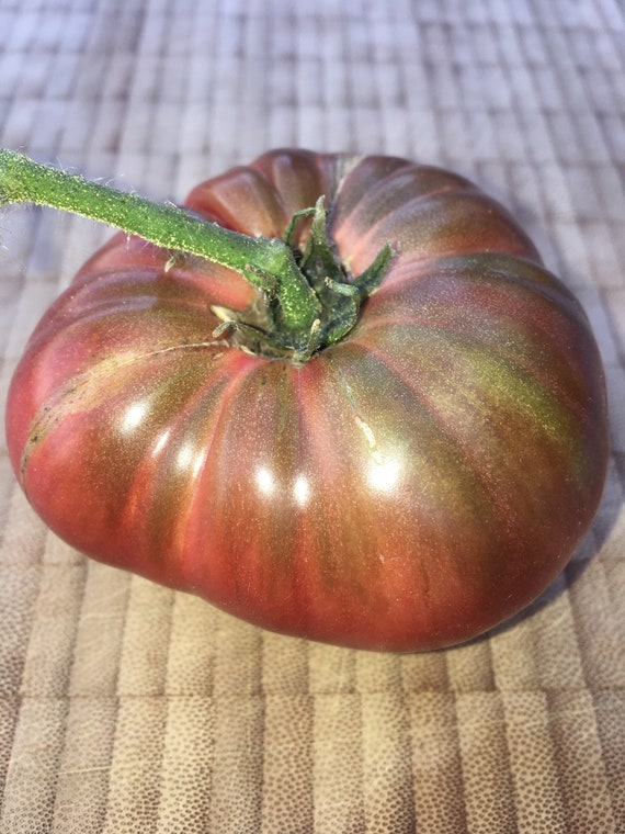 Pomodoro Marmande, Pomodori Italiani Su Un Fondo Di Legno Fotografia - Foto 10