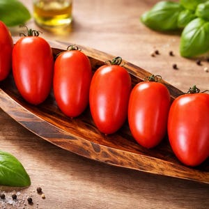 San Marzano tomatenzaden, een robuuste, hoogproductieve variëteit uit Italië, tomatenzaden voor in de fles