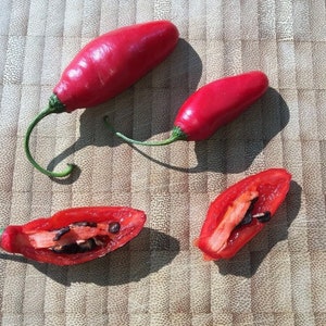 Rocoto Aji Largo Chili Seeds Baumchili c Pubescens Rare Rar unusual shape seeds