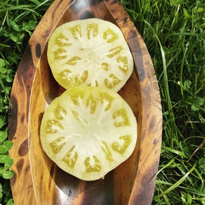 White Giant Beefsteak Tomato 10 seeds to 500 gram large tomatoes
