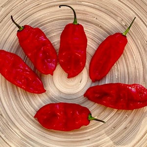 May include: Six bright red chilli peppers with green stalks are arranged on a light brown, circular wooden surface. The peppers have a wrinkled texture and a glossy appearance. The arrangement is symmetrical, with the peppers fanning out from the centre.