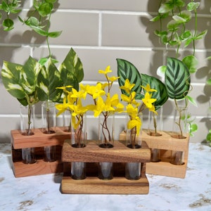 May include: A wooden stand with six glass test tubes holding yellow flowers and green leaves. The stand is made of two pieces of wood, one light brown and one dark brown.