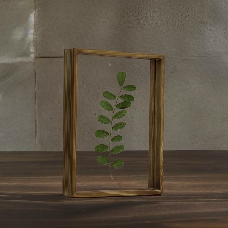 May include: A pressed green leaf encased in a clear glass frame with a natural wood frame.
