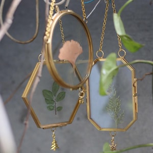 May include: Three hanging glass frames with gold metal edges, featuring pressed botanical specimens inside. One frame is circular, one is hexagonal, and one is octagonal. Each frame hangs from a gold chain and includes a small gold charm at the bottom.