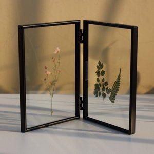 May include: A black picture frame with two glass panels, each displaying a pressed flower and leaf specimen. The frame is hinged in the middle, allowing it to be opened and closed.