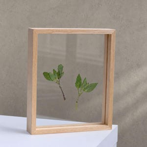 Moldura flutuante de madeira folheada a bordo, moldura de vidro dupla face para flores prensadas, fotos, moldura A4, estilo moderno e orgânico, moldura personalizada para presente.