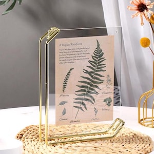 Golden Floating Frame, Double Sided Acrylic, Pressed Flowers, Table Numbers Display(4x6, 6x8, A4)