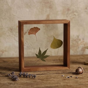 Peut inclure: Un cadre carré en bois contenant deux vitres transparentes qui maintiennent trois feuilles pressées : une feuille de ginkgo orange, une feuille d'érable verte et une feuille en forme de cœur jaune-vert. Le cadre est en bois brun clair.