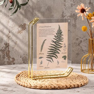 Golden Floating Picture Frame, Double Side Frame for Pressed Flowers, Table Numbers, Photo Display(4x6, 6x8, A4)