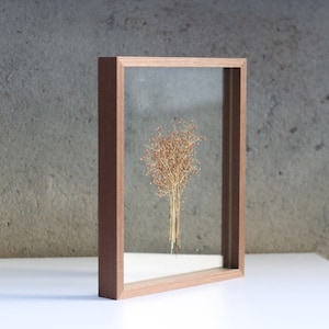 May include: A rectangular wooden floating frame with a medium brown finish, containing a single pressed dried plant specimen with thin stems and small tan seeds centered between two clear glass panes, creating a transparent display effect.