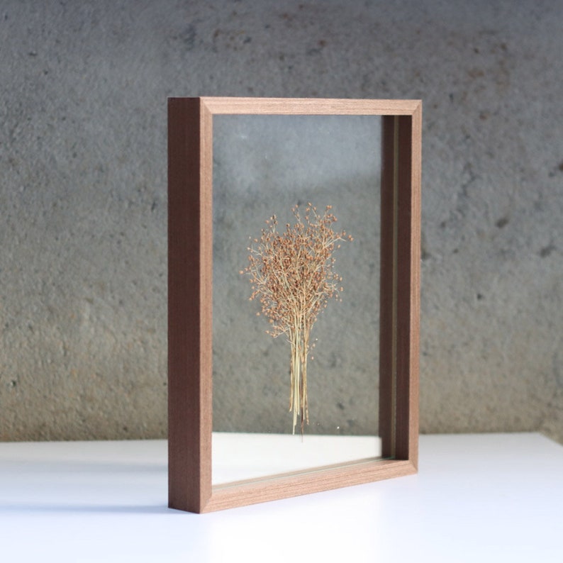 May include: A rectangular wooden floating frame with a medium brown finish, containing a single pressed dried plant specimen with thin stems and small tan seeds centered between two clear glass panes, creating a transparent display effect.