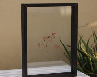 Black Veneered Floating Frame, Double Side Glass Frame for Pressed Flowers, A4 Certificates, Table Signage, Design Your Own Frame Gift