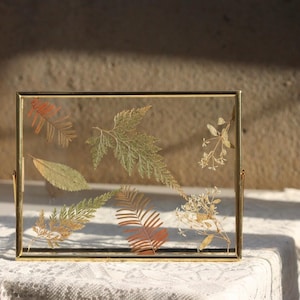 Horizontale gouden zwevende lijst, dubbelzijdig glas, lijst voor geperste bloemen, bewegwijzering, foto's, 4 x 6, 6 x 8, 8 x 10 inch