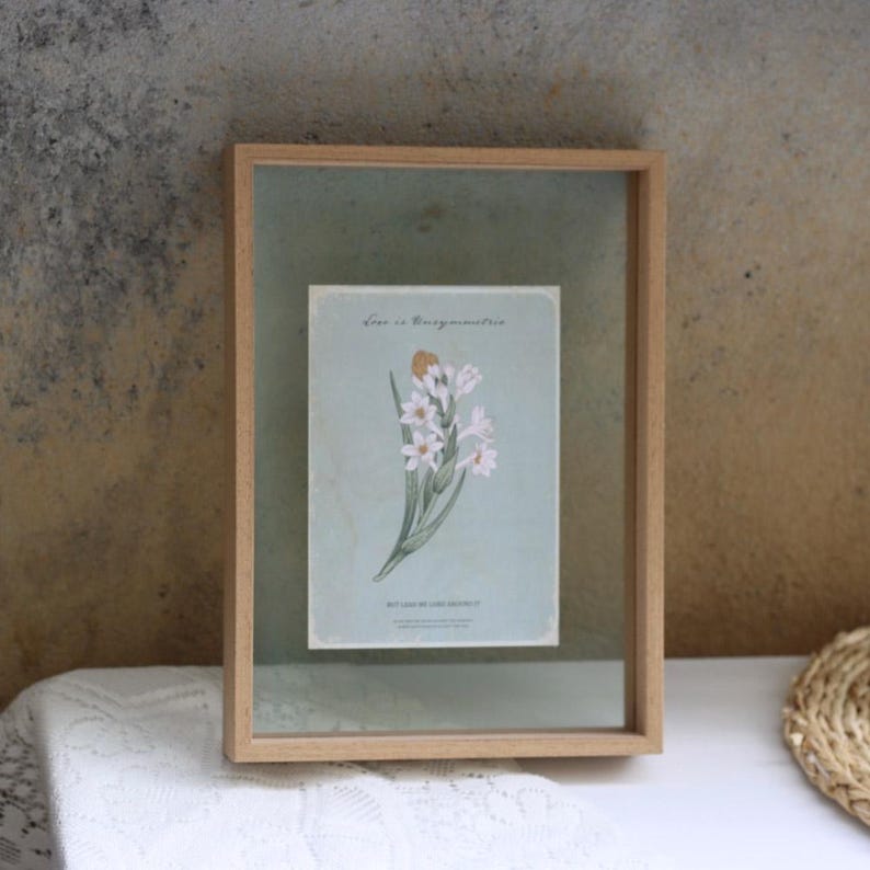 May include: A wooden frame with a glass front displays a vintage botanical illustration of a white flower with a yellow center. The illustration is titled "Iris x Byzantina" and includes the text "Bot. Gard. de l'Univ. de Grenoble".