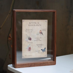 Op de afbeelding: Een botanische illustratie in een houten lijst. De illustratie toont een vogel, een vlinder en bessen. Tekst op de illustratie is onder meer "Botanical Illustration", "Parus Major" en "Natura". De lijst is donkerbruin.