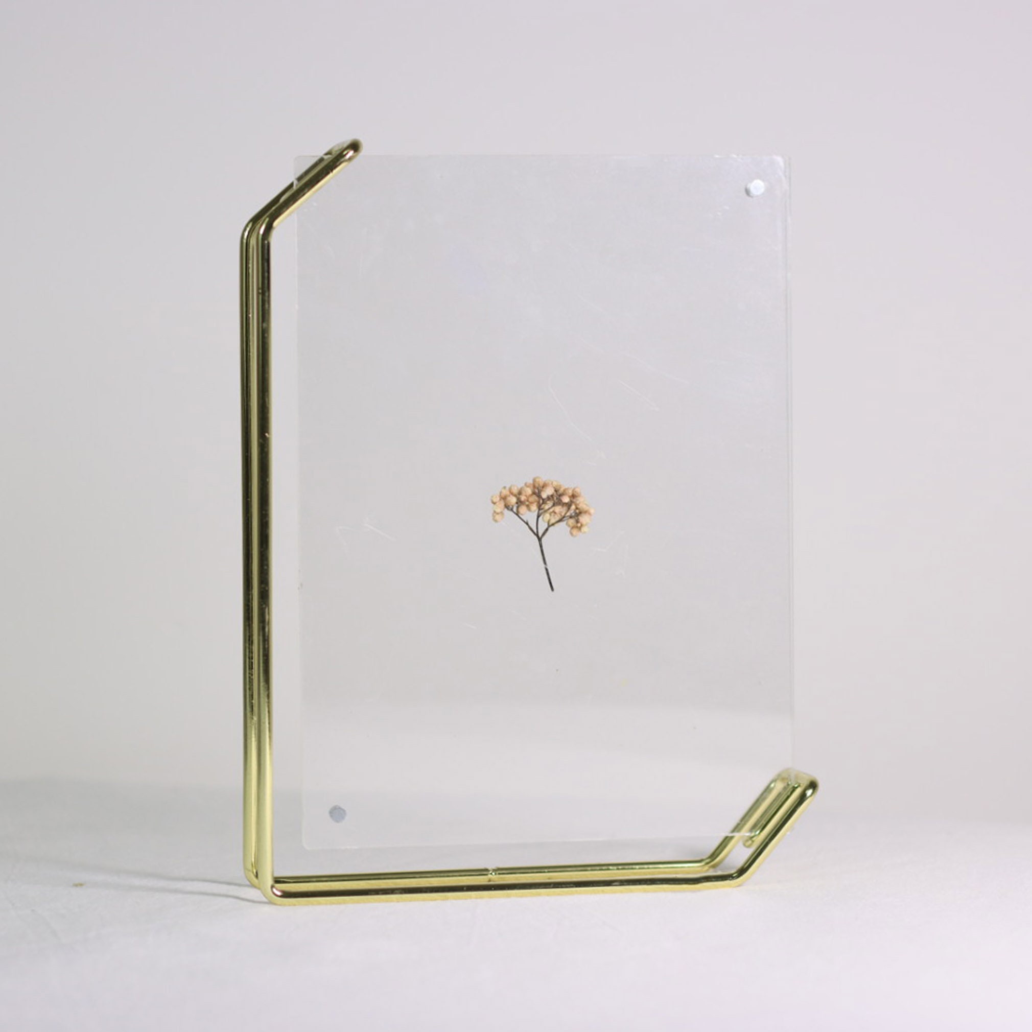 Villisca Metal Floater Picture Frame - Set of 7 (Set of 7) Hokku Designs Color: Gold