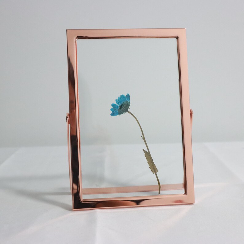 Rose Gold Picture Frames Double Glass Metal Picture Frame for Etsy