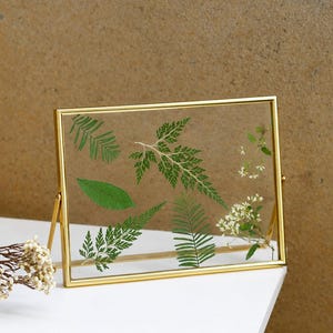Puede incluir: Un marco de fotos flotante rectangular con un borde fino de metal dorado y dos paneles de vidrio. Dentro del marco hay varias hojas de helecho verdes prensadas y pequeñas flores blancas dispuestas en un patrón natural sobre el cristal.