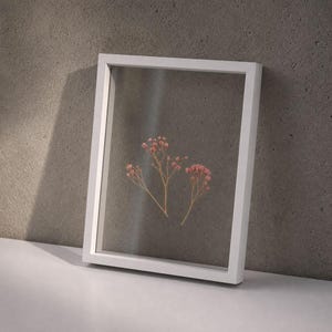 Può includere: Una cornice rettangolare bianca a giorno contenente due delicati steli di fiori secchi rosa, tipo gipsofila, pressati tra due lastre di vetro trasparente. La cornice è posizionata in verticale, mettendo in risalto i fiori.