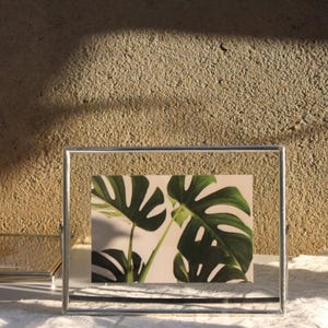 Marco de fotos flotante horizontal plateado: marco de vidrio de doble cara para flores prensadas, fotos, 4x6, 5x7, 6x8, 8x10 pulgadas