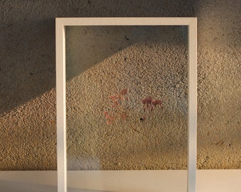 White Floating Frame, Double Side Glass, Frame for Pressed Flowers, Photos, A4 Certificate