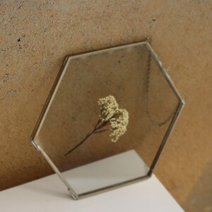 May include: A hexagonal glass frame with a thin metallic border containing a single pressed cream-colored flower. The frame features a delicate metal chain attached to the top edge for hanging, showcasing a clear view of the botanical specimen.