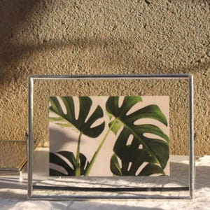 May include: A rectangular floating picture frame with a thin silver metal border. The frame holds a print featuring large, vibrant green monstera leaves against a light background, creating a botanical display within the clear glass panes.