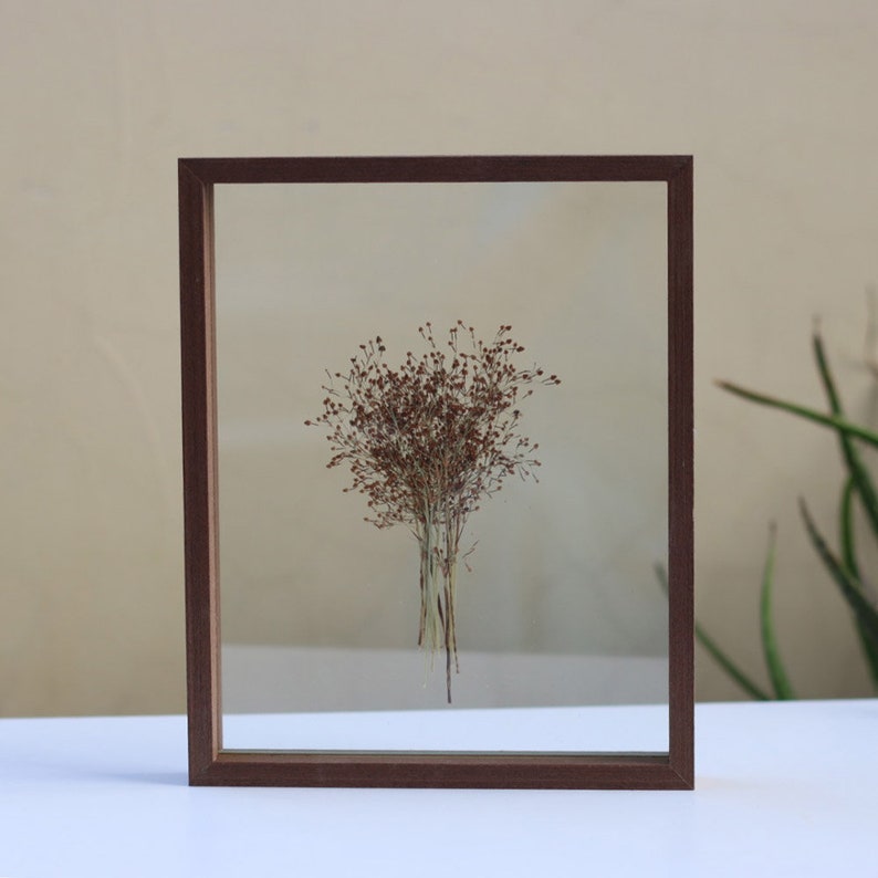 May include: A rectangular floating frame with a dark brown wooden border containing a small, dried bouquet of thin, brown, branching stems with tiny seed-like heads. The arrangement is centered between two clear glass panes within the frame.