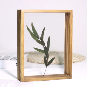 May include: A wooden frame with a clear glass insert, showcasing a pressed green leaf specimen. The frame has a natural wood finish and a simple, rectangular design.
