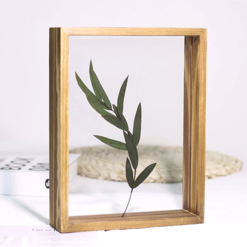 May include: A wooden frame with a clear glass insert, showcasing a pressed green leaf specimen. The frame has a natural wood finish and a simple, rectangular design.