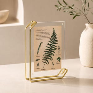 Puede incluir: Un soporte para carteles de acrílico transparente con un marco de metal dorado. La pantalla contiene una tarjeta de color tostado con el texto A Tropical Rainforest, junto con ilustraciones botánicas de helecho, perejil, cilantro, comino, lavanda y azafrán.