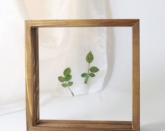 Darkened Pinewood Floating Frame in Square, Double Sided Frame, Pressed Flower& Polaroid Display