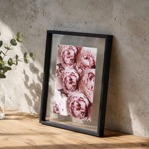 May include: A rectangular black picture frame containing a print of multiple soft pink peony flowers. The frame features a clear glass border surrounding the floral image, creating a floating effect for the botanical artwork display.