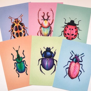 Set van 6 kaarten met schattige geïllustreerde bugs beetles kevers A6