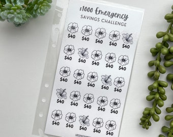 1k Savings Challenge, 1k Emergency Fund Challenge, Savings Challenge, Emergency Fund