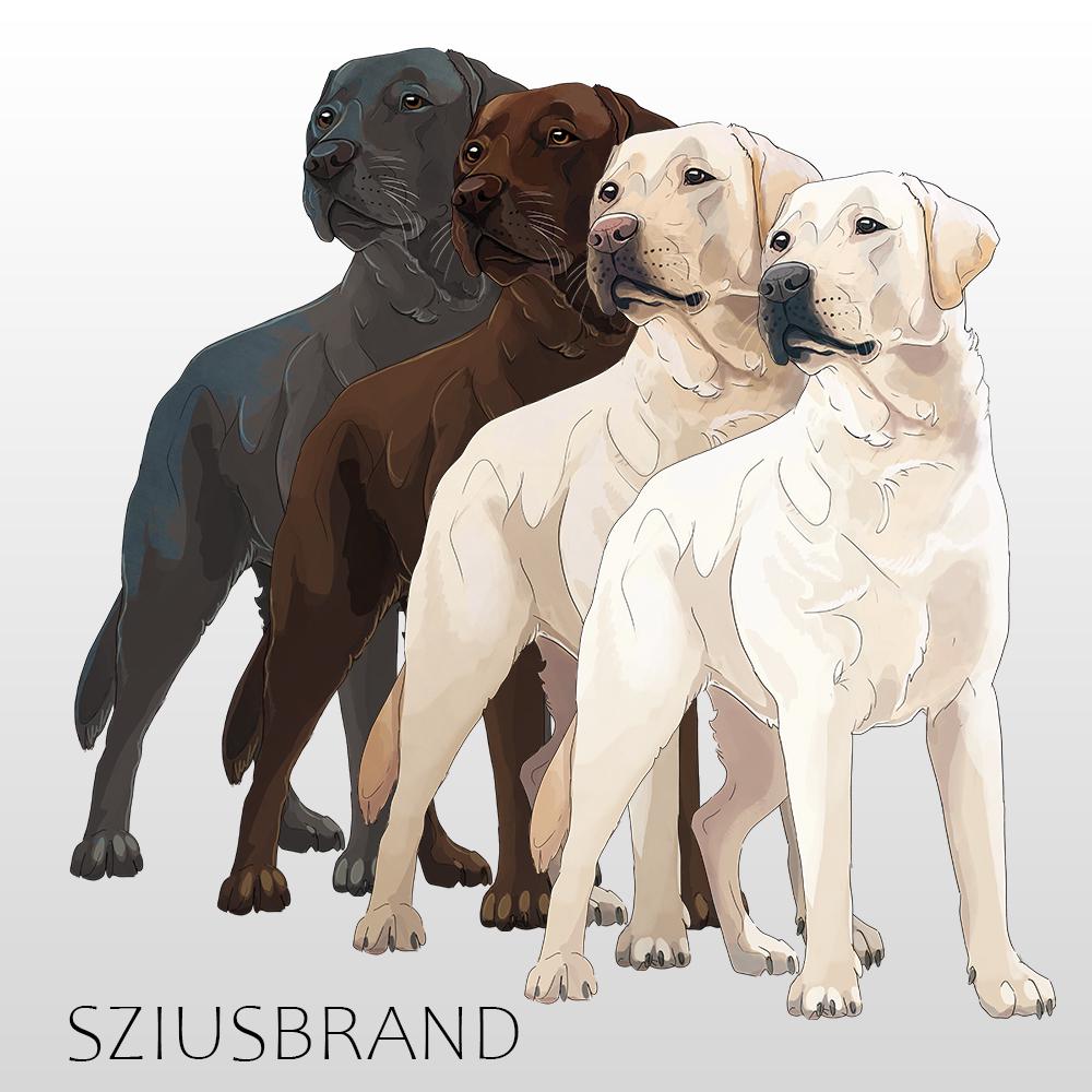 Labrador Retriever Digital Drawing - Etsy