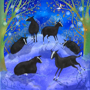 Zwartbles in Winter, un jeu de quatre cartes de saison présentant mes illustrations de ces beaux moutons dans des paysages hivernaux magiques.